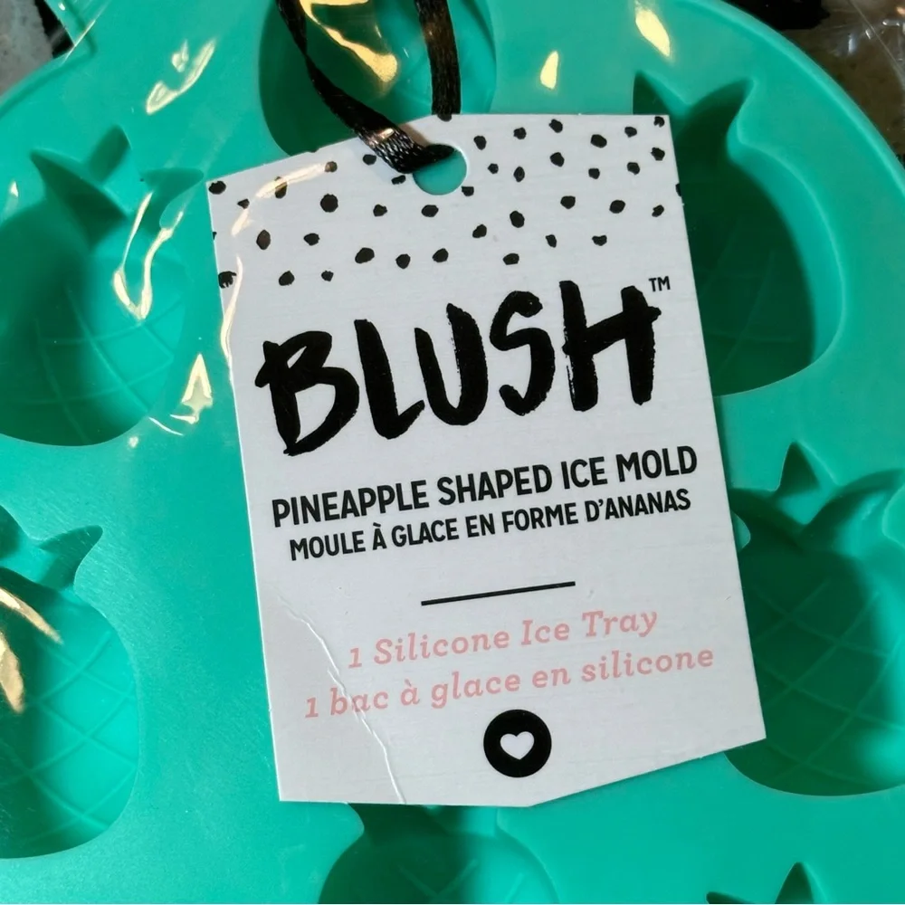 3/$25 NEW NIP BLUSH Teal Silicone PINEAPPLE 🍍 Shaped Ice Mold Tray